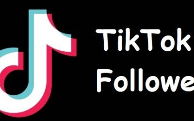 Gain TikTok Followers and Likes with Max Social Service