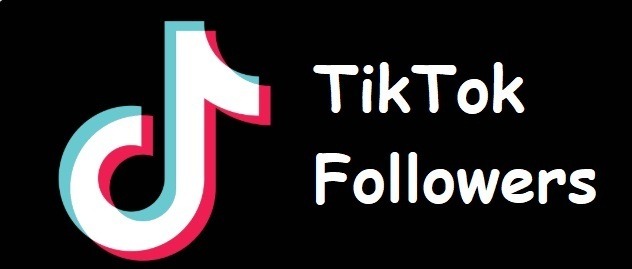 Gain TikTok Followers and Likes with Max Social Service